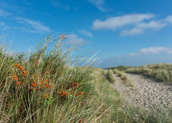 Дом отдыха Walfisch *